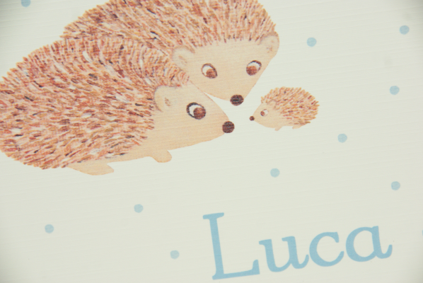 geboortekaartje luca lichtblauw